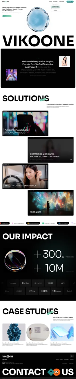 Vikoone — K-beauty market entry, Vietnam — 1